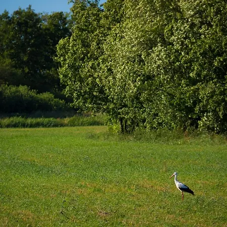 Domek Goscinny Ujście-Darłowskie Exteriér fotografie